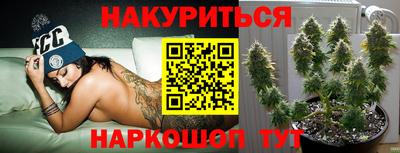 эйфоретик Кингисепп