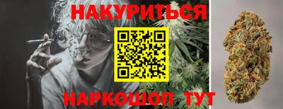 эйфоретик Кингисепп