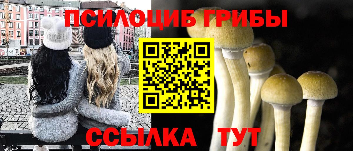 где можно купить   Галлюциногенные грибы Psilocybine cubensis  Вход с VPN  Камышлов 