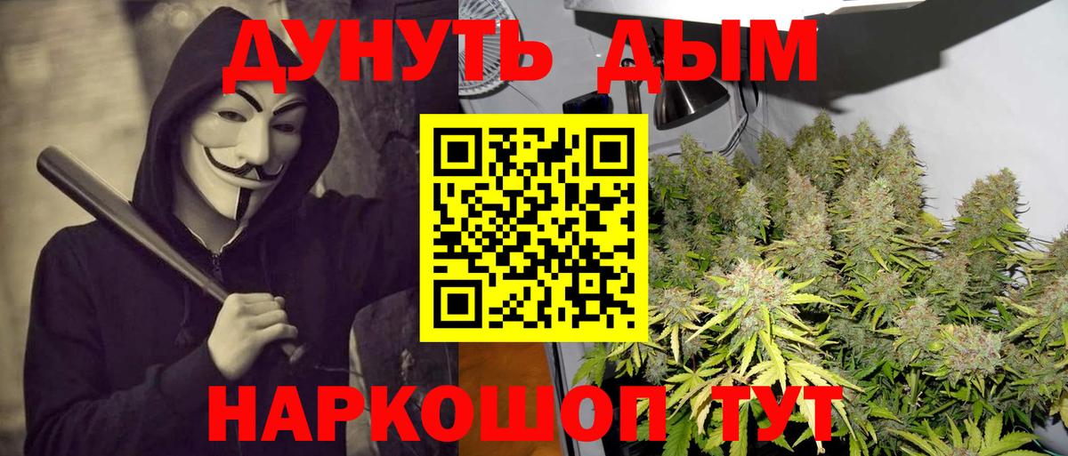 Камышлов  Бошки марихуана план  Вход с VPN  Шишки марихуана тримм  Бошки марихуана SATIVA & INDICA  Бошки Шишки план 
